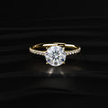 Round Cut Split Shank Single Pave Engagement Ring
