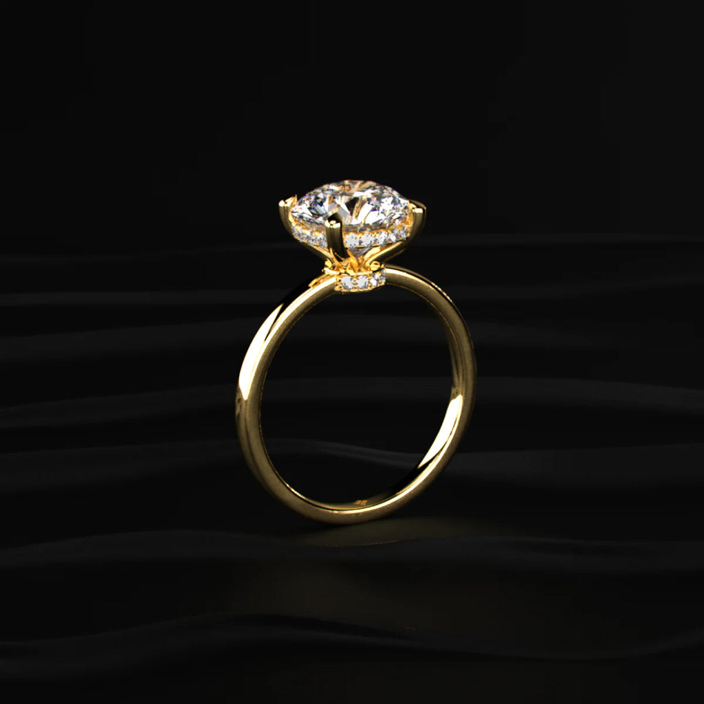 Round Solitaire With Double Hidden Halo Ring