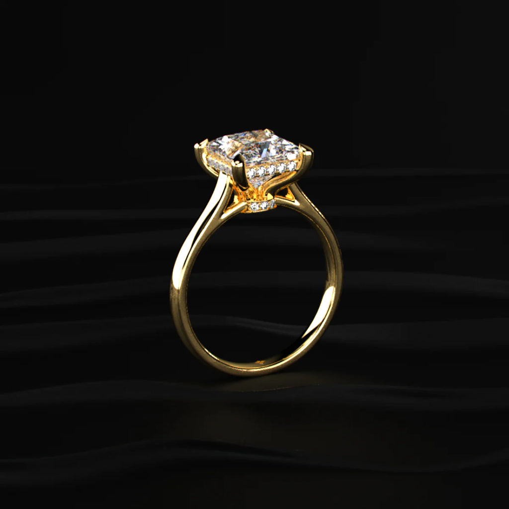 Princess Solitaire Double Hidden Halo Cathedral Ring