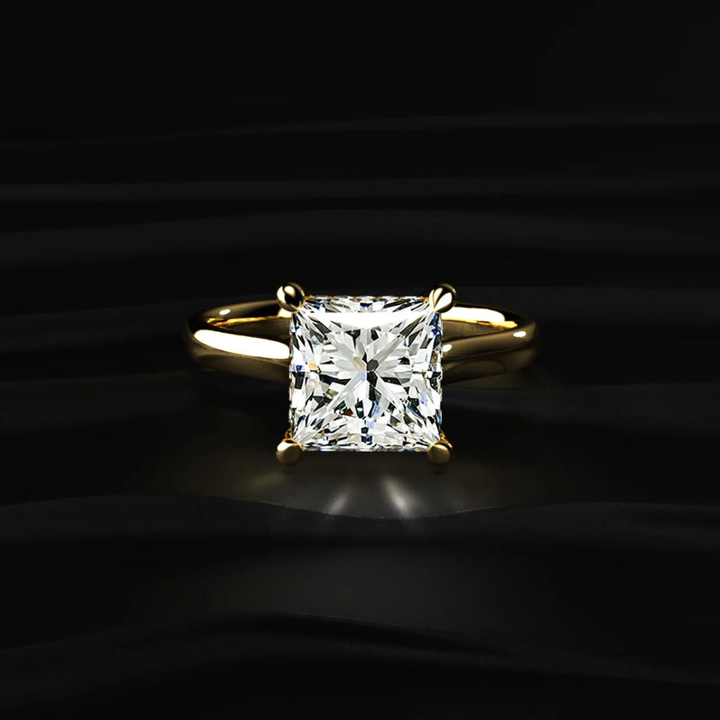 Princess Solitaire Double Hidden Halo Cathedral Ring