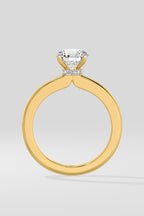 1.5 ct Secret Halo Ring