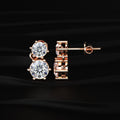 Double Stone Earrings