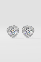 6 ct Solitaire Swirl Halo Earring